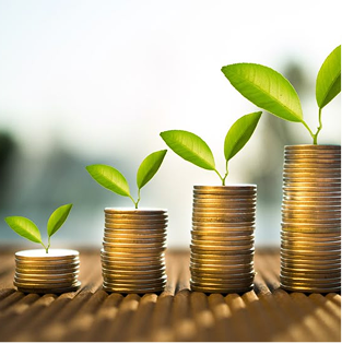 Flexible Savings Plans